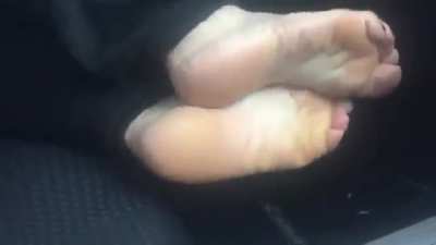 World<wbr>softe<wbr>stsol<wbr>ez