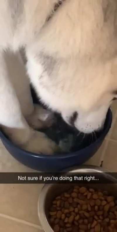 The good old ‘Both Feet in the Bowl’ tactic