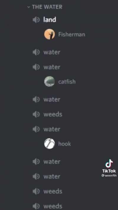 Discord fishing