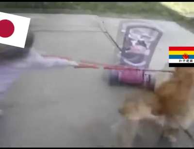 Meanwhile, in East Asia