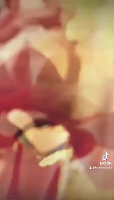Anyone have any idea when Shuo feng po zhen zi 朔风破阵子 comes out?