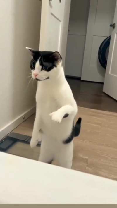 deoirjfbffjoqco