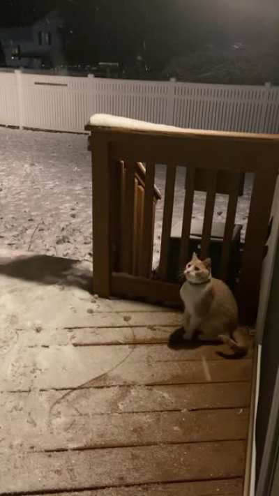 I think it’s his first time seeing snow...and he seems to enjoy it.