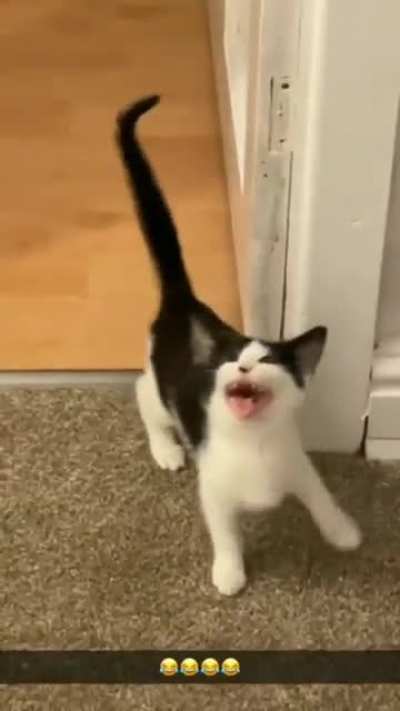 Aaaaaaaaaaaaa
