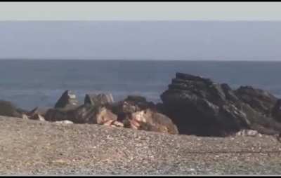 Drug smugglers in Spain mobbed by beach goers.