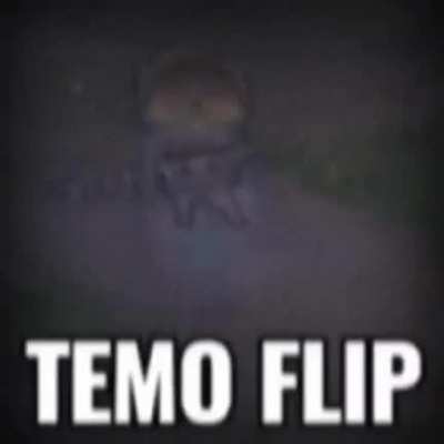 I have made a complete version of the TEMO FLIP tnx u/weirdwoah