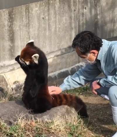 Best job.. (not my original post, but too adorable to resist!)