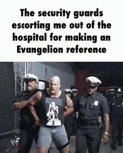 No mister policeman it was for the meme