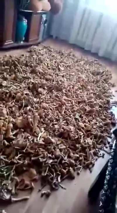 Тот случай когда лучше бы бухал