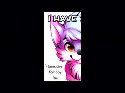 Furry_irl
