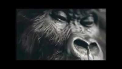 I CAN FEEL IT COMING - Pt. 3!