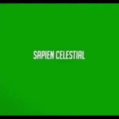 Minecraft é sua física