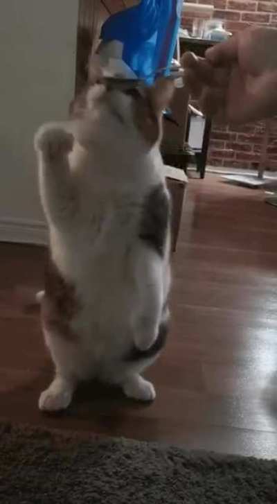 touch tha spoon
