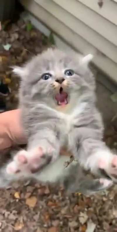 hes not happy ):<