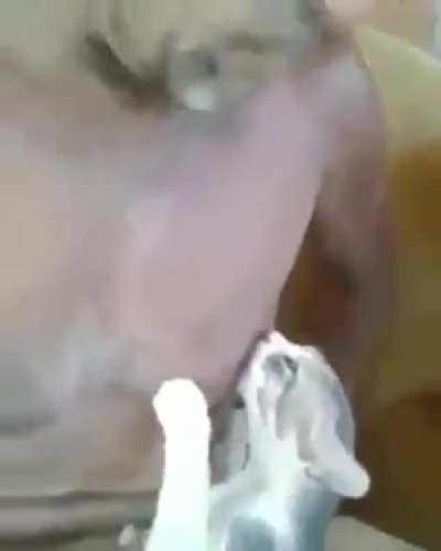 isso q é um pai presente