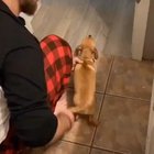 Full send
