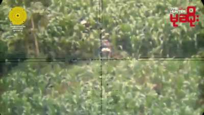 A group of Myanmar Army soldiers getting shot at my KNDF sniper in Kayar State.