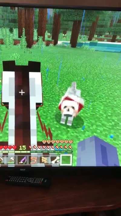I think my dog is broken