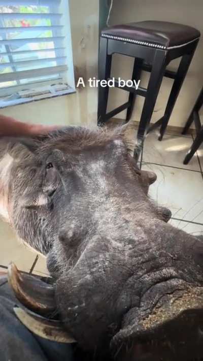 A tired rule 