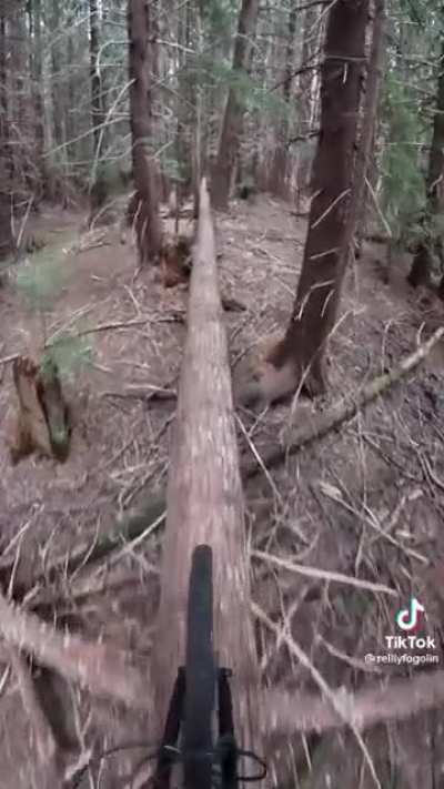 How can you even…