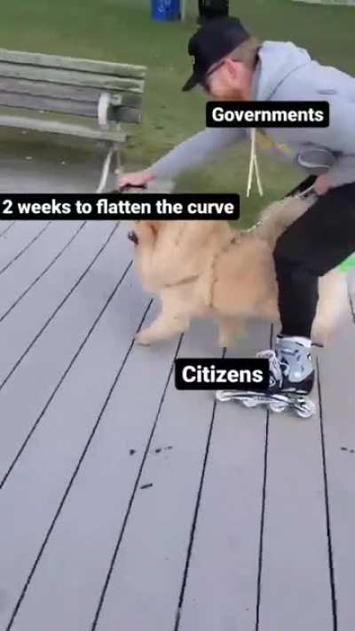 My dog and I made meme video, his idea