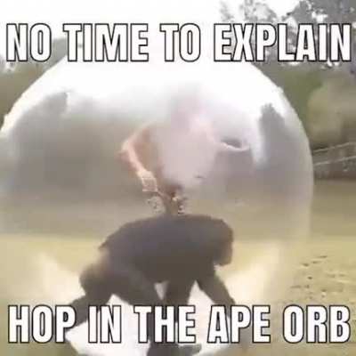 A P E O R B 😳😳😳
