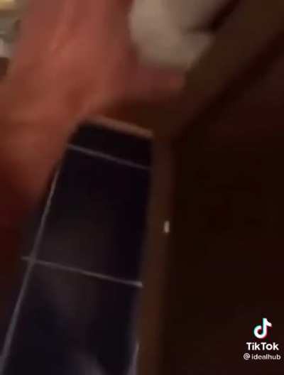 POV: Comiste en Taco Bell