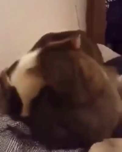 Panic