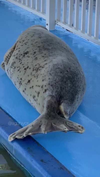 Sneeze n stretch