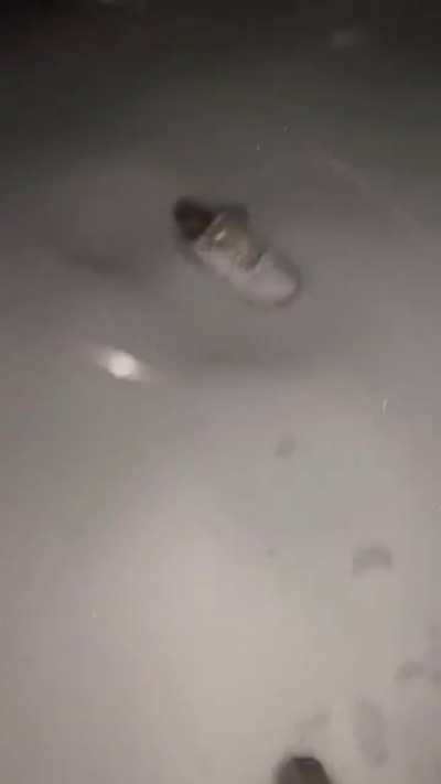 idiotsinKarlsmama