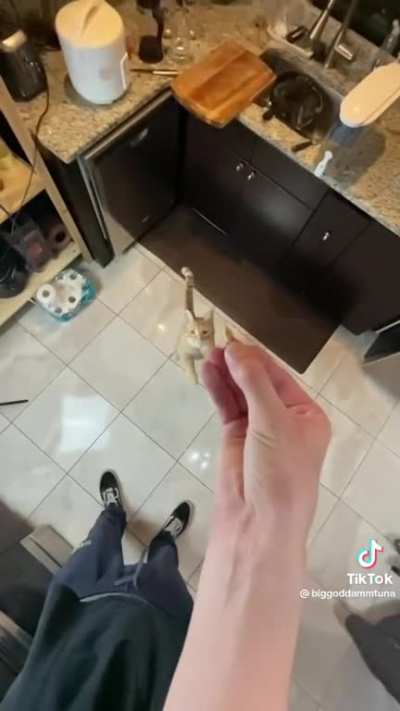 Yum