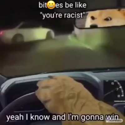 I'm fucking pissing