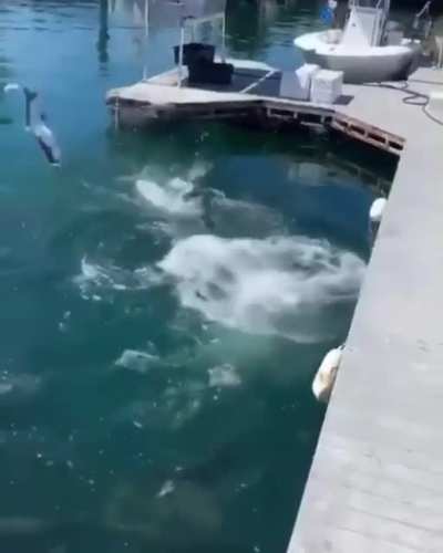 To fish without a pole