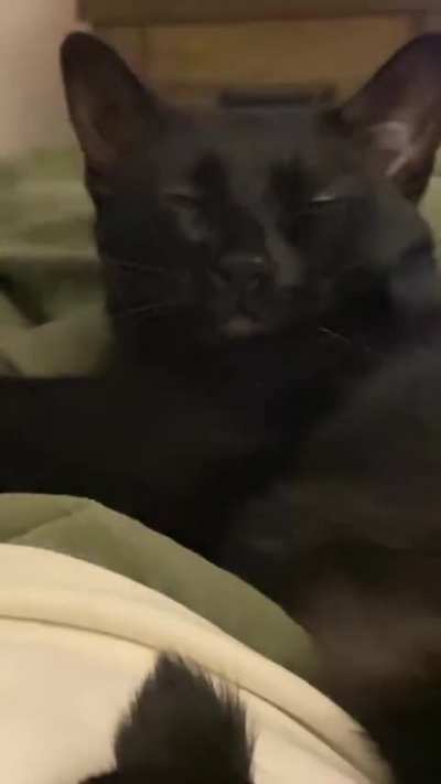 Wait for it…