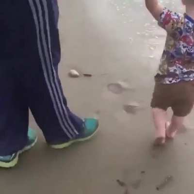 A trip to the beach