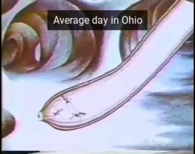 Average day in Ohio