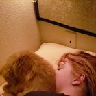 Fiance was unsure about an emotional support meower. Now this happens every night.