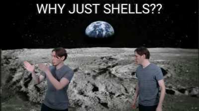 seashells