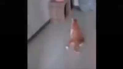 Cursed_Rug