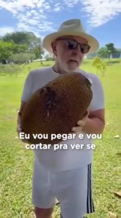 Jaca 