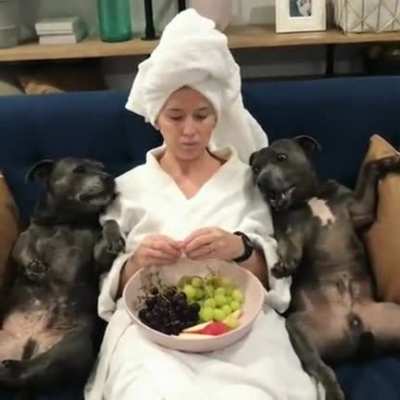 Woof_irl