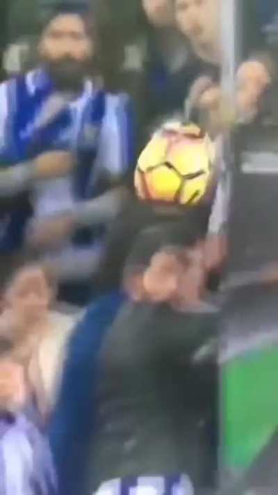 Bonk!