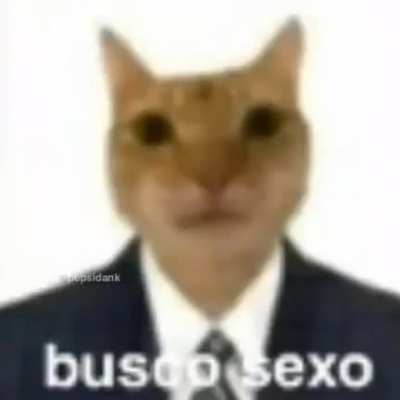 Sexo