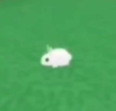 Bunny