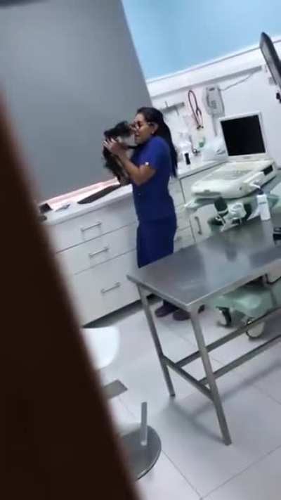 How vets treat your pets