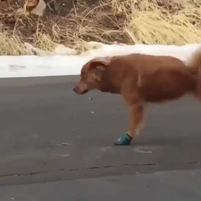 Just dosn't work