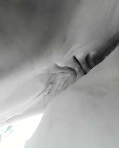 Shark swallows insta360 cam