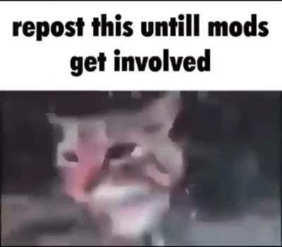 Is this the only recorded case where people actually repost it