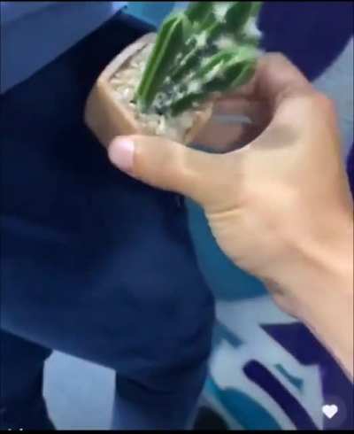 The reverse pickpocket