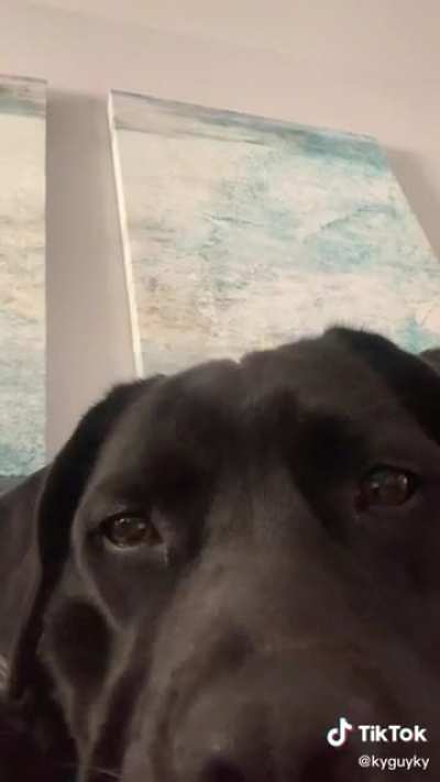 Watching talented people on the internet